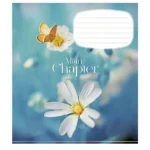 Набір зошитів Школярик Chapter в лінію 18 аркушів 25 шт.