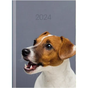 Щоденник датований ECONOMIX А5 2024