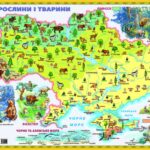 Карта "Рослини і тварини" Моя Україна Розмір: 100х70см,